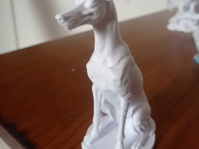 Greyhound - Galgo