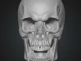Terrifying Skull Head-0
