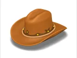 cowboy hat-3