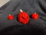 Pumpkin Skull-1