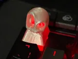 Teschio del tasto ESC-2
