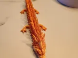 DRAGO ARTICOLATO REALISTICO-5