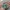 LLAVERO STARBUCKS CUPHEAD