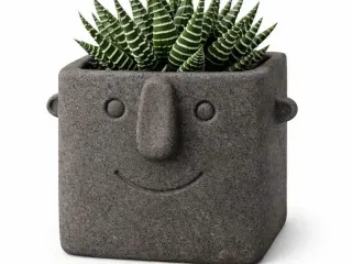 Face Pot Planter - Succulent - Cactus - Potus