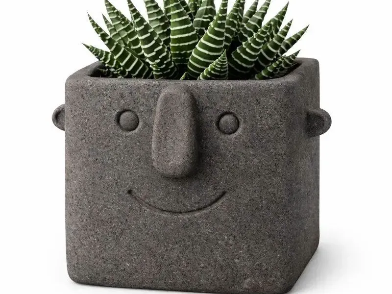 Face Pot Planter - Succulent - Cactus - Potus
