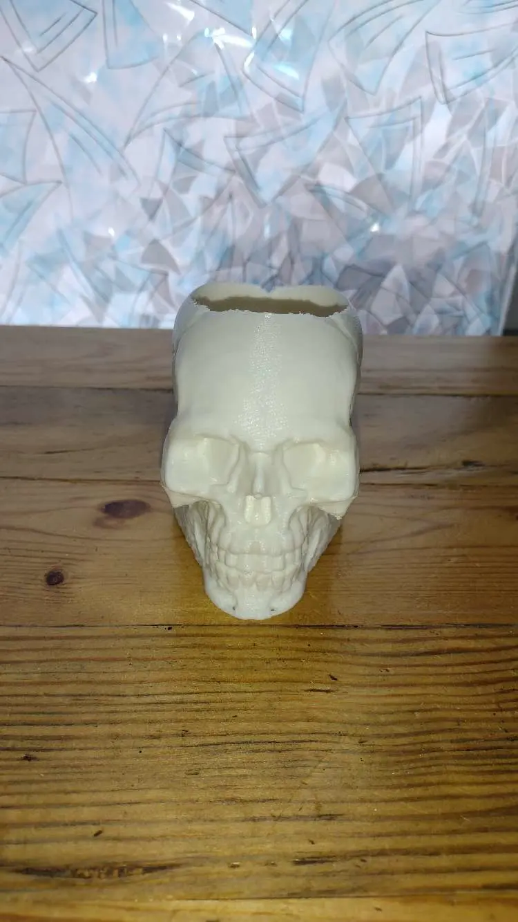 skull vase or skull pen holder 