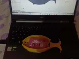 Fish Container -1