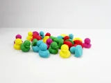 Mini Duck-1