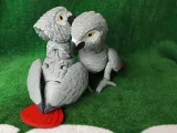 Figure articulée du gris d'Afrique-4