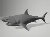 Realistic Animal Shark Fish Zoo toy statue-0