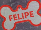 Dog name tag-0