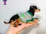 Replica Perro Pinscher Mediano-0