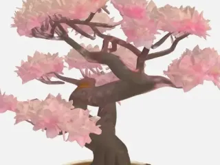 Bonsai Sakura Baum 