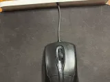 Mouse Cable Guard-4