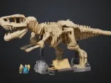 Dinosaur skeleton-1