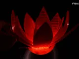 Fruit Flower Lampshade-3