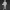 waiter