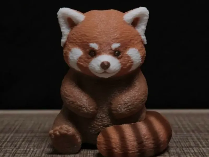 坐着的小熊猫（sit red panda）