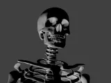 Skeleton HD-0