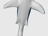 Tiger Shark, Keychain-4