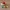 Pokeball Print In Place Low Poly + Element figures