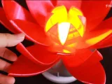 Fruit Flower Lampshade-2