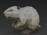 Castor-0
