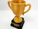 Customizable Trophy-2