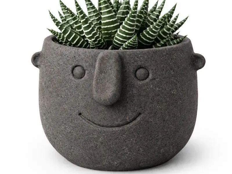 Face Pot Planter - Succulent - Cactus - Potus