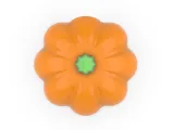 Pokeball Pumpkin-4