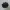 impeller