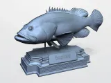 GROUPER-2