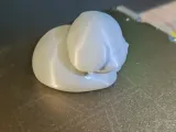 Sleeping Puppy-2