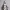 Elegant Silver Hair Anime Girl – Standing Glamour Pose Ecchi