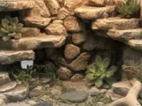 rock wall-0