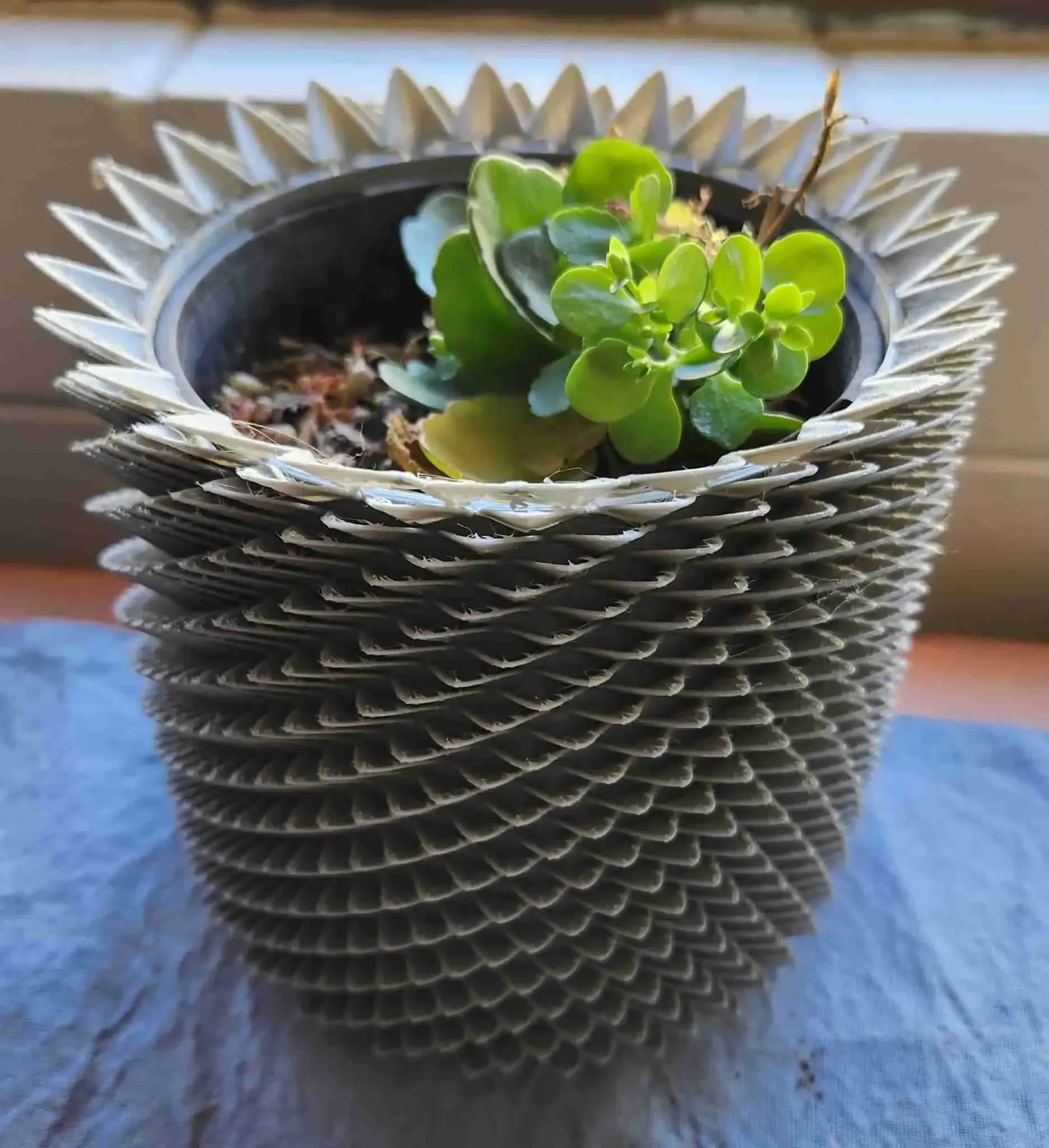 Succulent Style Pot Holder