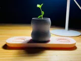 Mini Planter & Tray with plug-1