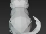 cat-5