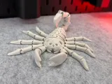 Scorpione Scheletro Flessibile-1
