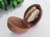 Walnut (with Hinge and Seed)-3