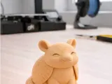 ARMADILLO LLAVERITO-0