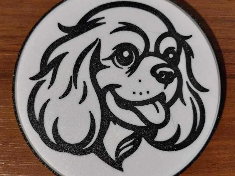 Cavalier king Charles spaniel Coaster
