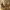 The Three Wise Men/ Los Tres Reyes Magos Figure