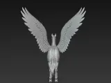 Pegasus-4