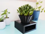 Geometric Cone Planter-3