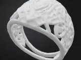 Aegis Crystal Ring-1