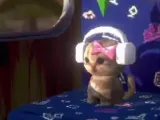 Sims Cat meme -0