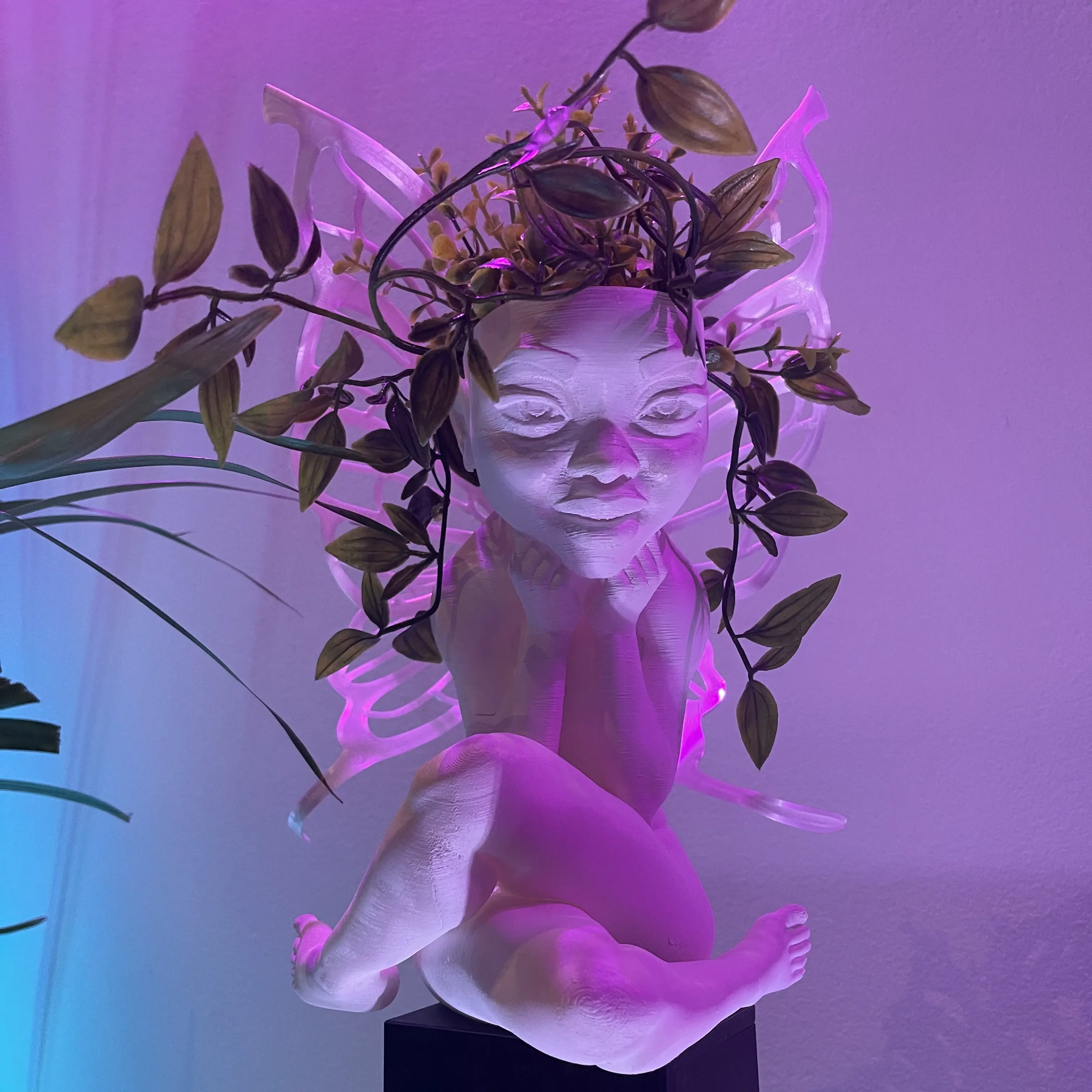 FAIRY VASE / FLOWER POT