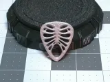 Púa de guitarra de caja torácica-1