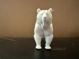 Bear-1